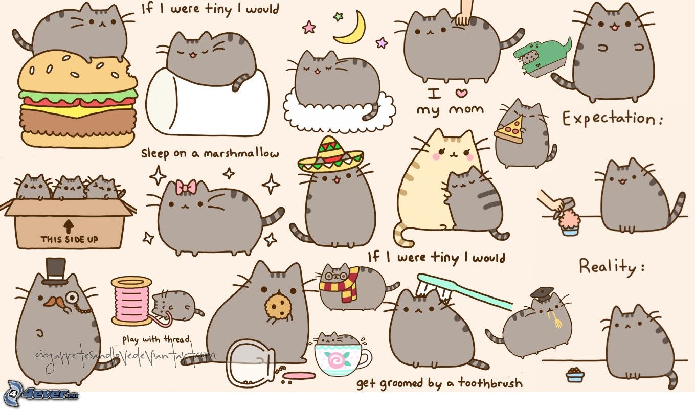 pusheen,-kreslena-macka-208057